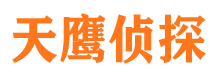 南海侦探公司